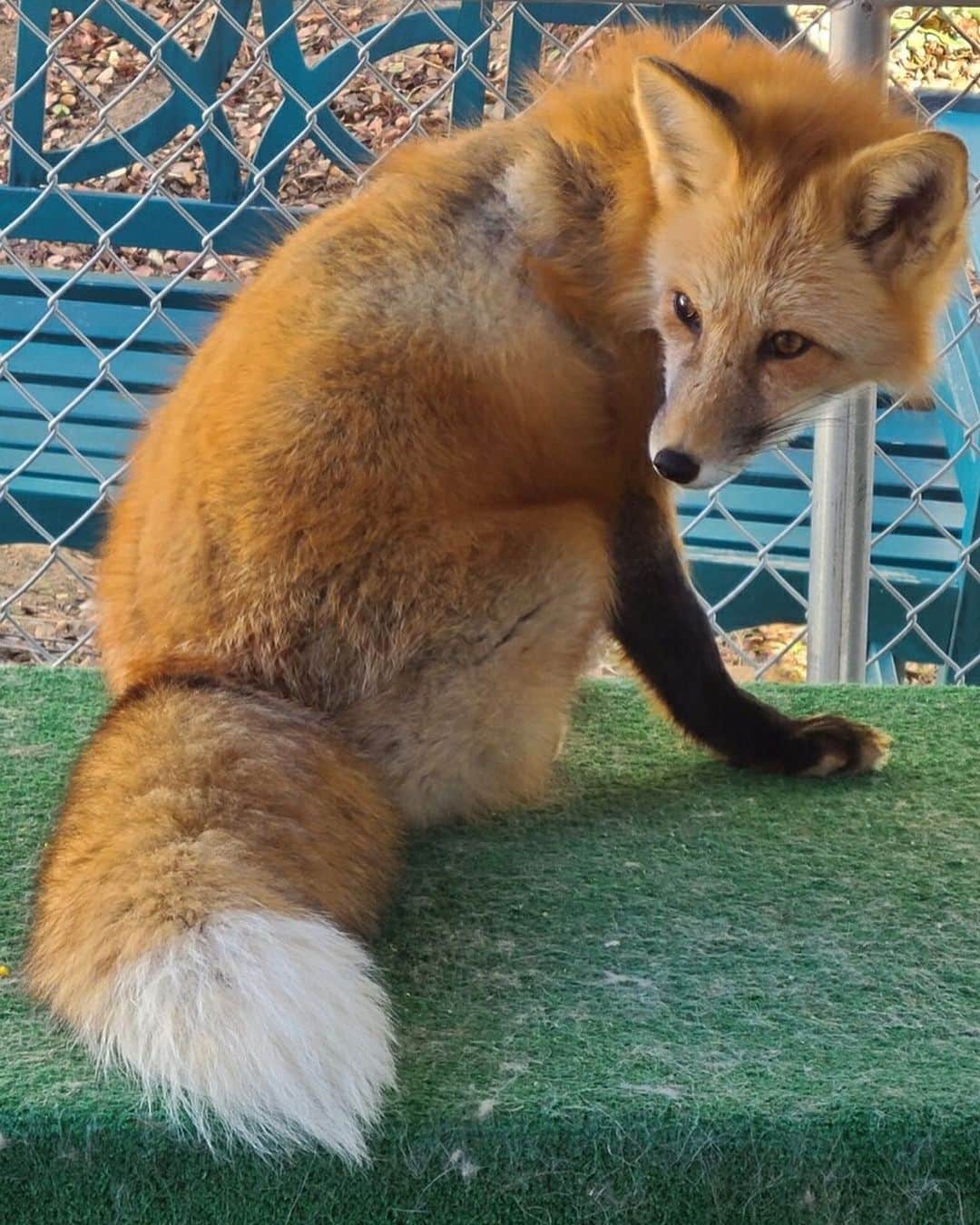 Rylaiのインスタグラム