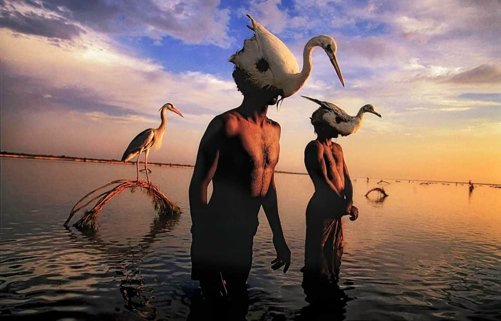 thephotosocietyさんのインスタグラム写真 - (thephotosocietyInstagram)「Photo by @randyolson  This is just an interesting pairing from two areas a world apart. Ancient traditional hunting in rural Pakistan using decoy hats to trick the birds that become prey is a contrast to the dynamic thriving colonies of Sand Hill cranes gathering for mating season in Nebraska. #pakistan #nebraska#sandhillcrane #induscivilization」11月26日 9時48分 - thephotosociety