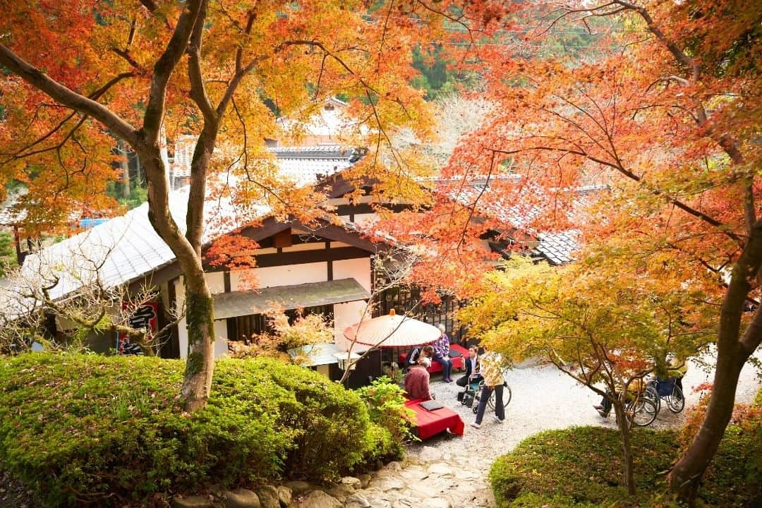 Birthplace of TONKOTSU Ramen "Birthplace of Tonkotsu ramen" Fukuoka, JAPANのインスタグラム：「Akizuki, a castle town also known as "Chikuzen’s Little Kyoto," is a tangible cultural property designated by the Fukuoka Prefecture. It is also known as a famous place for viewing cherry blossoms and autumn leaves, and around the main gate of the Akizuki castle ruins called "Kuromon" there are maple trees which create a beautiful contrasting scenery during the autumn leaves season.  ©福岡県観光連盟  #fukuoka_tonkotsu #ilovefukuoka #fukuokalover #fukuoka #fukuokapics #fukuoka_cameraclub #fukuokatrip #fukuokajapan #fukuokatravel #akizuki #castletown #redleaves #autumnleaves #autumncolors #autumnvibes🍁 #japancastle #littlekyoto #fukuoka_funtravel」