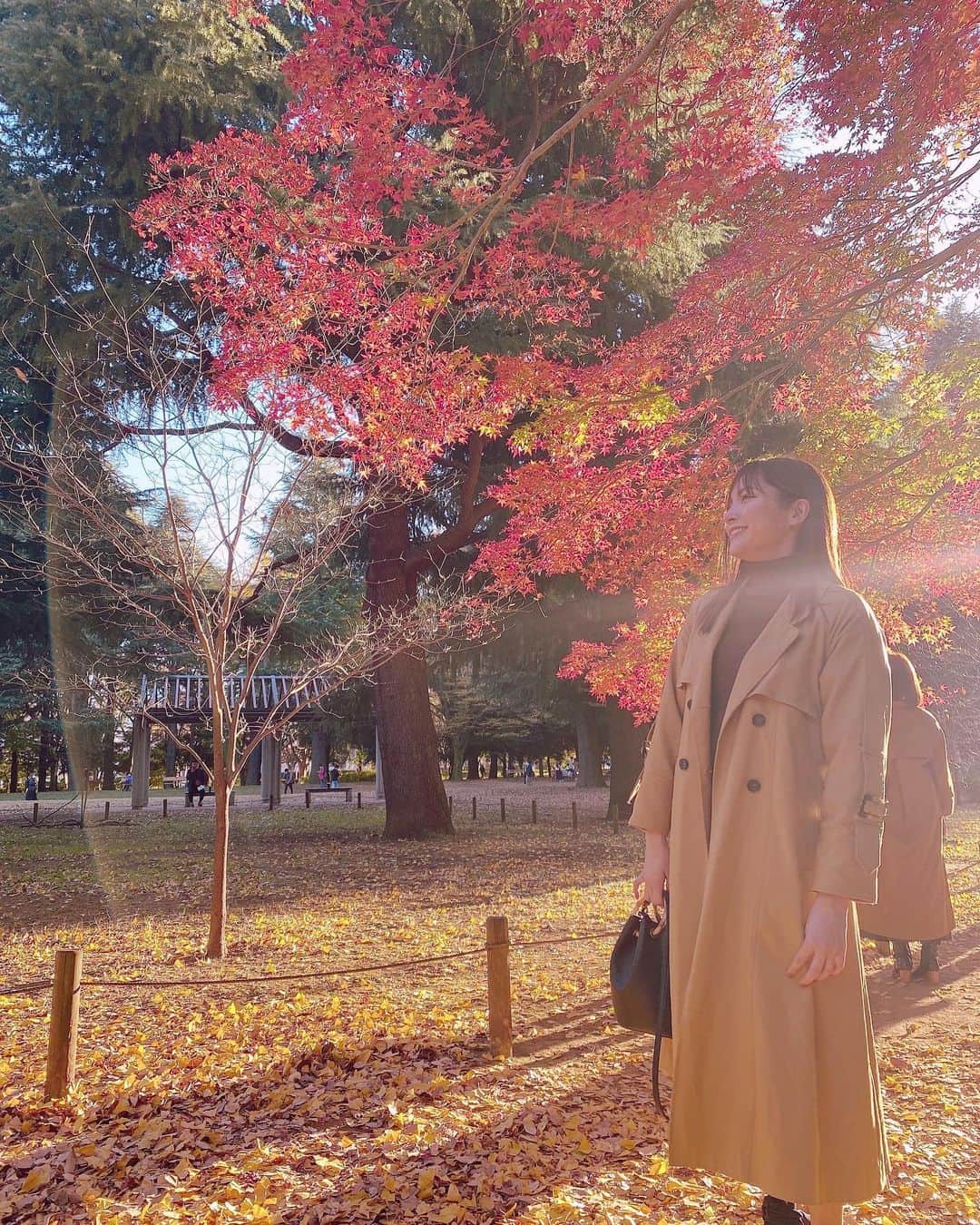 樋浦結花さんのインスタグラム写真 - (樋浦結花Instagram)「・ 🍁🌾🍂  アウターがイチョウの葉っぱと同じ色☺️🍂🍂  #紅葉 #イチョウ並木 #行ってきます #行ってらっしゃい」11月26日 9時52分 - hiura_yuika