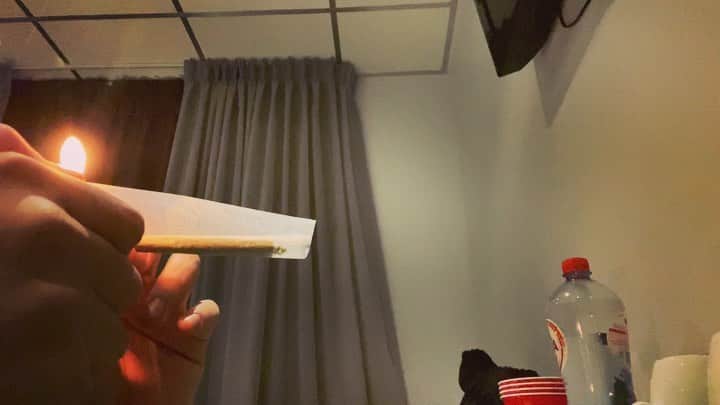 G-PLANTSのインスタグラム：「#amsterdam #rollup」