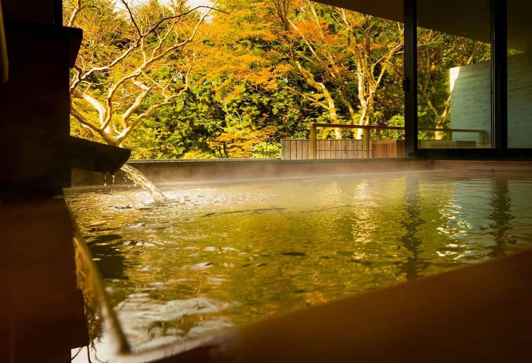 のインスタグラム：「界 仙石原で味わえるのは酸性の湯。酸性の湯は、皮膚表面の余計な角質を落とします。肌への刺激が強いので長湯は禁物。静かに数分程度浸かったら、普通のお湯に入るか、シャワーなどで洗い流してあがるのがおすすめ。湯上がりには、ふっくらとした肌が整い、嬉しくなりますよ。  #hoshinoresorts #kaisengokuhara #星野リゾート #界仙石原 #箱根 #温泉 #温泉旅館 #泉質」