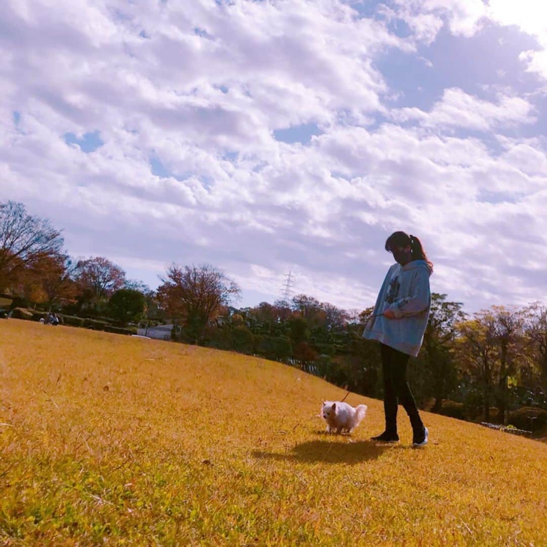 Hoshinokeiのインスタグラム：「・ 青空の下は やっぱり 気持ちいいですねー🐶❤️」