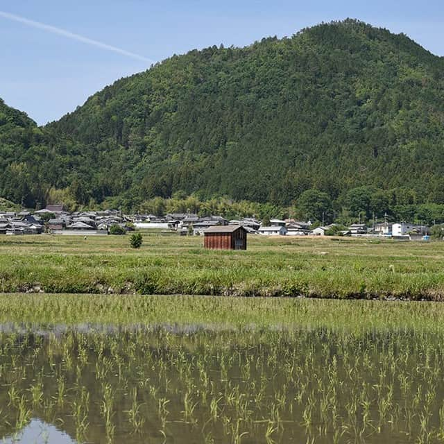 銀座 蔦屋書店のインスタグラム