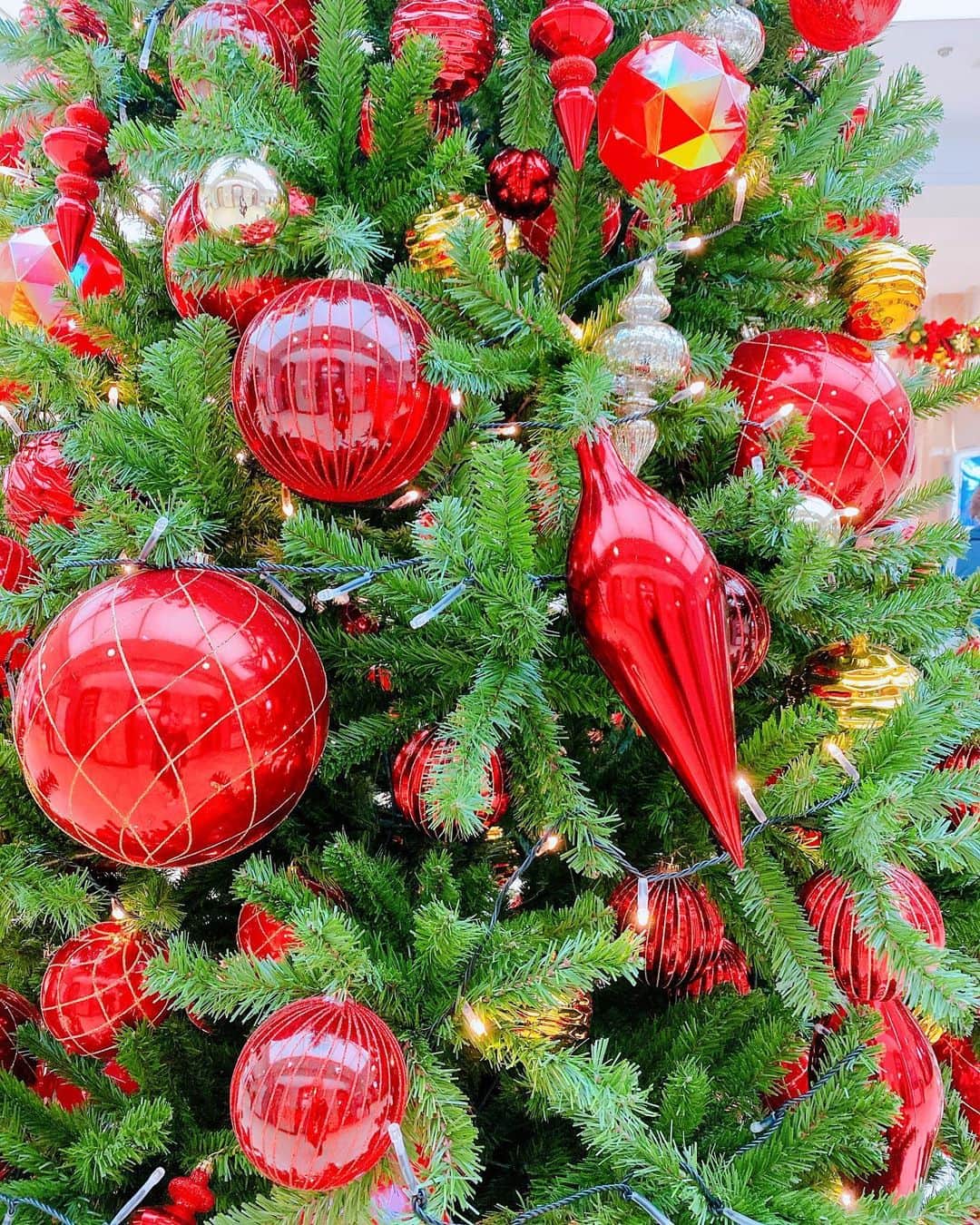 まんまるとまとさんのインスタグラム写真 - (まんまるとまとInstagram)「christmas♡ ・ もうすぐで クリスマス🎅🎄 久しぶりにサンドイッチ 的なの食べた❤️ #ノアカフェ銀座店 #ノアカフェ  ・ ・ ・ #クリスマスプレゼント #クリスマス #クリスマスツリー #ツリー #オーナメント  #飾りつけ #noacafe #銀座ランチ  #christmas #ornament #tree  #christmastree #santa #cosplay  #japan #ginza #cafe  #銀座カフェ」11月26日 12時11分 - manmaru_tomato