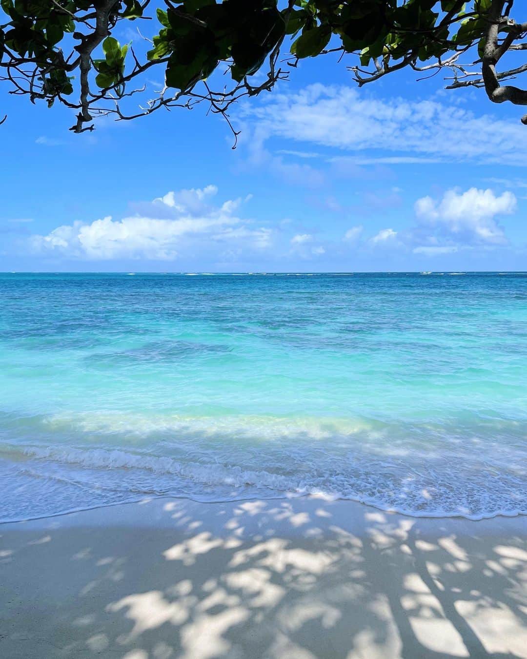 のインスタグラム：「海をどうぞ💙💚💙」