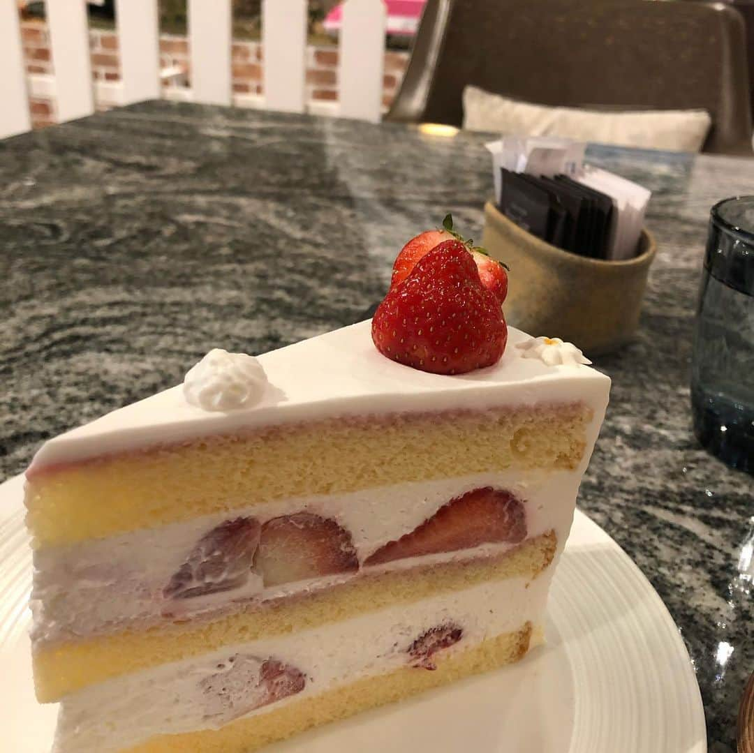 月亭八光さんのインスタグラム写真 - (月亭八光Instagram)「1人ケーキ🍰 🎶🎅」11月26日 12時51分 - 888hachimitsu888