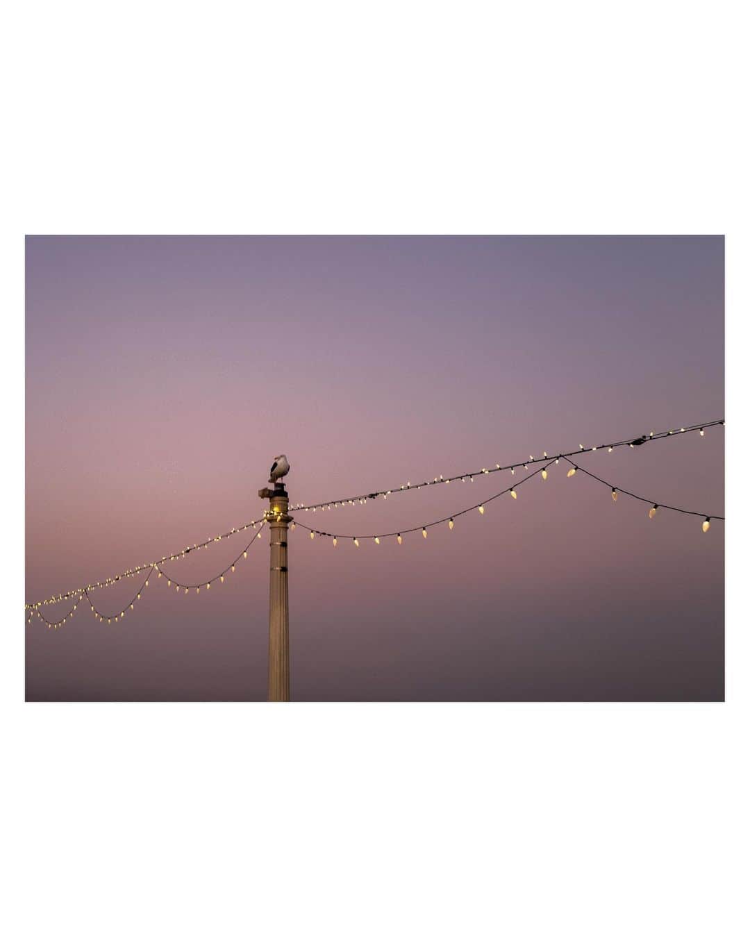 Pete Halvorsenさんのインスタグラム写真 - (Pete HalvorsenInstagram)「Fogset and Sunrise on the Pier this morning...  . Swipe for more 👀 . Leica Q2」11月26日 12時48分 - petehalvorsen