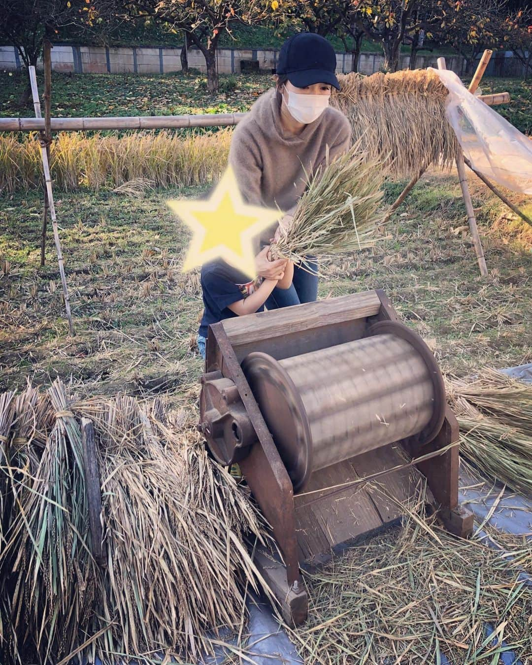 釈由美子さんのインスタグラム写真 - (釈由美子Instagram)「田植え、稲刈りに引き続き 先日、脱穀🌾に初挑戦してきました！  稲刈りした稲を約一ヶ月干して ついに最終工程の脱穀の日を迎えました。  息子にお米作りというものを体験させたくて 今年初めて参加させて頂きました✨  足踏み脱穀機を使って脱穀します🌾  なかなか楽しくて、親子で夢中になって 黙々と脱穀してました😆  それから、 なんと千歯扱きも使って脱穀しました！  こちらは足踏み脱穀機と比べて 手作業なので 腰が痛くなるほど、大変でした😵💦  この後、唐箕を使って風力で籾から稲の葉や藁くずを取り除く作業をしたり  籾すり機で籾から籾殻を除去して玄米にする作業もしました。  昔の人は、こんなに手間ひまをかけて お米を作っていたんですね🙏✨  毎日当たり前のように食べられているお米が どのように作られているのか。  お米作り体験を通して、 日本人の主食であるお米の大切さ、ありがたさを  まだ4歳の息子でもほんの少しでも 感じとってもらえたら嬉しいです  (*´ー｀)ﾉ  お土産に頂いたとれたての新米で 土鍋で炊いたご飯🍚の美味しかったこと‼️  😂😂😂  濃い味のおかずなどいらず ご飯の甘さだけで、 「おいし〜い！🤩✨」と  息子が何杯もおかわりしてくれました♪😋  自分で田植えして、稲刈りして、脱穀したからこそ🌾思い入れもあり、 より美味しく感じられるのでしょうね🙏✨  #脱穀 #脱穀体験  #足踏み脱穀機 #千歯扱き #米作り #田植え体験 #稲刈り体験 #からの脱穀 #だっしゅむらみたい #ほのぼの #体験学習 #食育」11月26日 13時27分 - yumikoshaku