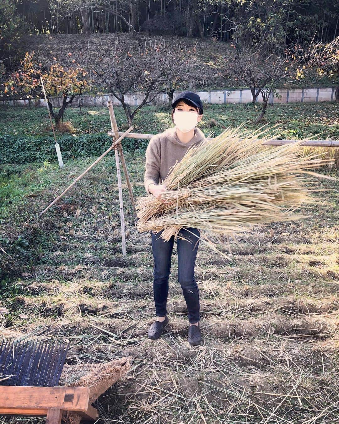 釈由美子のインスタグラム