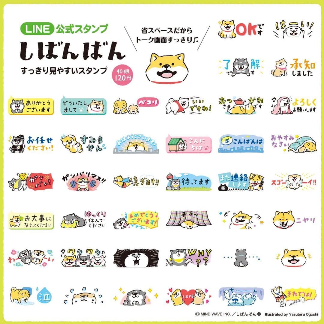 オオゴシヤステルさんのインスタグラム写真 - (オオゴシヤステルInstagram)「⭐️NEW⭐️LINE公式スタンプ 情報  本日『しばんばん すっきり見やすいスタンプ』がリリース‼️ 省スペースデザインでトーク画面がすっきり♫  【訂正】 価格表記に誤りがありました。 正しくは以下の通りになります。  ❌誤 ) 40個 ¥120 ⭕️正 ) 40個 ¥250  https://store.line.me/stickershop/product/18876/ja  #mindwave #マインドウェイブ #shibanban #オオゴシヤステル #LINE #LINE公式スタンプ #柴犬 #しばいぬ #shibainu」11月26日 13時52分 - ogoshi_yasuteru