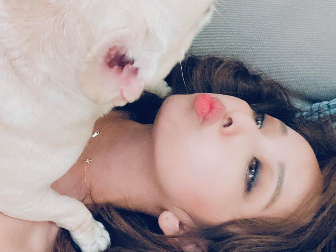 千田愛紗さんのインスタグラム写真 - (千田愛紗Instagram)「My love. Hana🌻  #frenchbulldog #フレンチブルドッグのいる生活」11月26日 13時44分 - aisa1108