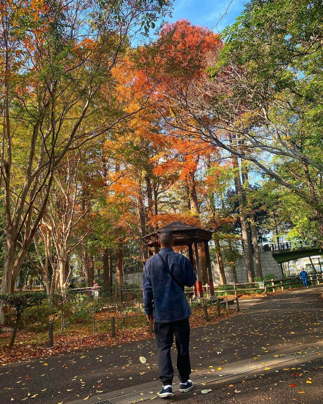 卜部弘嵩さんのインスタグラム写真 - (卜部弘嵩Instagram)「🍂」11月26日 13時58分 - hirotakaurabe