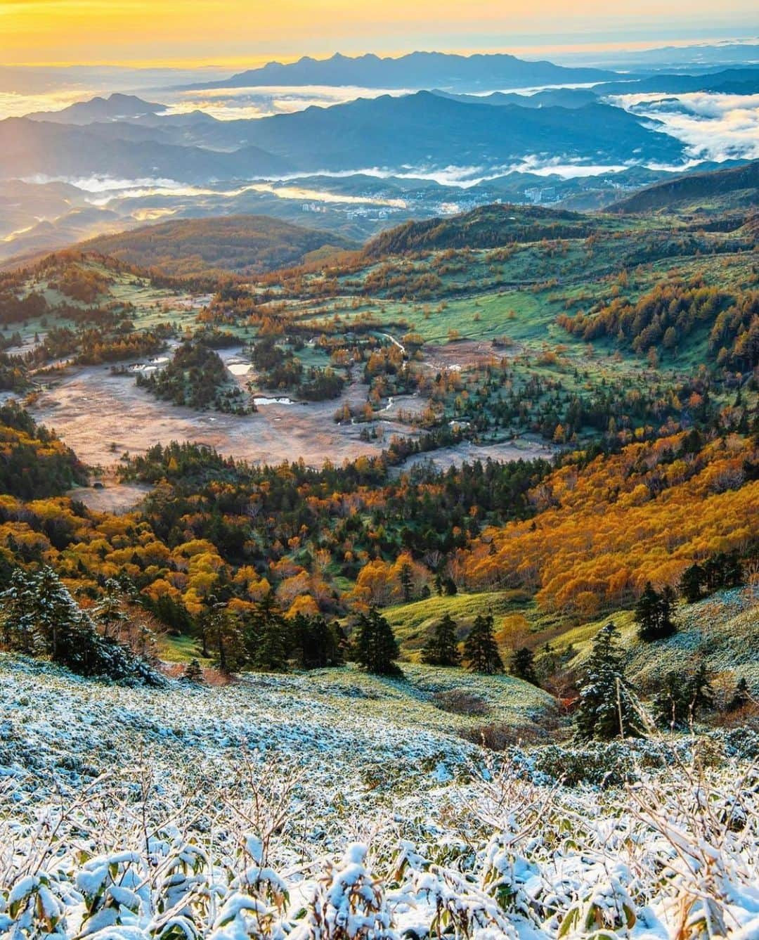 はなまっぷ❁日本の花風景さんのインスタグラム写真 - (はなまっぷ❁日本の花風景Instagram)「🍂🍁はなまっぷの紅葉まつり🍁🍂 * @godive2000 さんの 紅葉に花まるを💮 * 色とりどりに染まる美しい日本の秋をありがとうございます😊🍁🍂 * 長野 Nagano Pref. * 見頃を過ぎている場所もご紹介しています。 お出かけの際はHP等で最新の情報をご確認くださいね🙏🍁 * 🍁•••🍂•••🍁•••🍂•••🍁•••🍂 * 🍂🍁はなまっぷの紅葉まつり🍁🍂 〜紅葉の季節が終わる頃まで #はなまっぷ  のタグの中から、紅葉のお写真をご紹介させていただきます。期間中はランダムに、複数枚投稿でもご紹介させていただく場合がございます。 * #秋#紅葉#風景#はなまっぷ#🍁」11月26日 14時06分 - hanamap