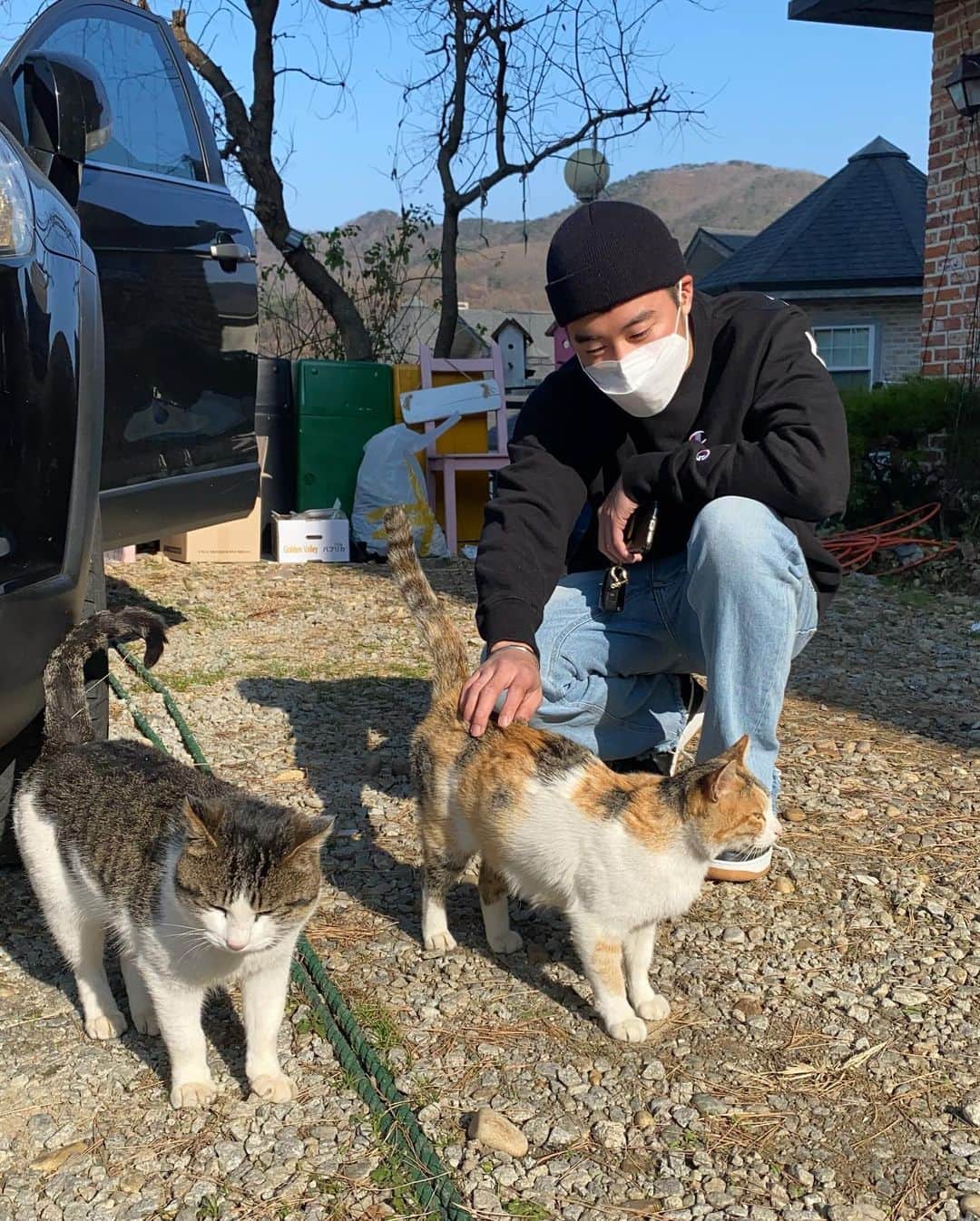 ジュノさんのインスタグラム写真 - (ジュノInstagram)「winter vacation 가족과 함께 강화도 여행🇰🇷 차갑고 상쾌한 겨울공기를 마시며 저번 가을바다에 이어 이번엔 겨울바다로 떠났다. 동해처럼 탁트인 바다너머 수평선은 볼수없지만 옹기종기 모여 솟아있는 섬과 바다의 콜라보레이션을 볼수있는 서해바다, 충분히 눈과 머리와 가슴을 힐링할수있어 적당히 매력적이다. 사람 좋아하는 고양이 부부도 만나 힐링 +22😻무엇보다 사람들과 접촉하지 않는 공간투성이 였어서 이시국에 정말 알맞은 여행이지 않았나싶다. ３回目の休暇も家族で過ごしました。前回の秋の海に続いての冬の海だったんですけど、どっちもそれぞれの魅力があって最高でした。そして、何よりも人々との接触も無くて安心できる旅行でしたね。またエナジーチャージもしたし残りの2020年も頑張ろうと思ってます！😊WINGSの皆さんもジュノの写真を観て残りの2020年もブルーパワーでファイティン！💙 . . . #rok #army #대한민국 #군스타그램  #겨울바다 #🇰🇷」11月26日 14時08分 - joonho_jg