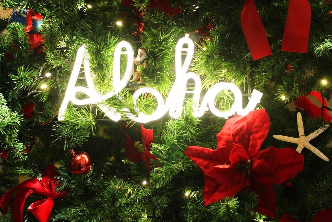 品川プリンスホテルさんのインスタグラム写真 - (品川プリンスホテルInstagram)「. クリスマスまであと1ヶ月🎄  品川プリンスホテルもクリスマスを迎える準備は万端です。  Share your own images with us by tagging @shinagawaprincehotel ————————————————————— #クリスマス #クリスマスツリー #メリークリスマス #ハワイ #ハワイアンクリスマス #品川プリンスホテル #プリンスホテル #東京#品川 #shinagawaprincehotel #princehotels #tokyo #shinagawa」11月26日 14時15分 - shinagawaprincehotel