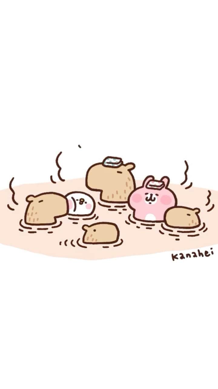 カナヘイのインスタグラム：「いい風呂の日 #11月26日 #カピバラ」