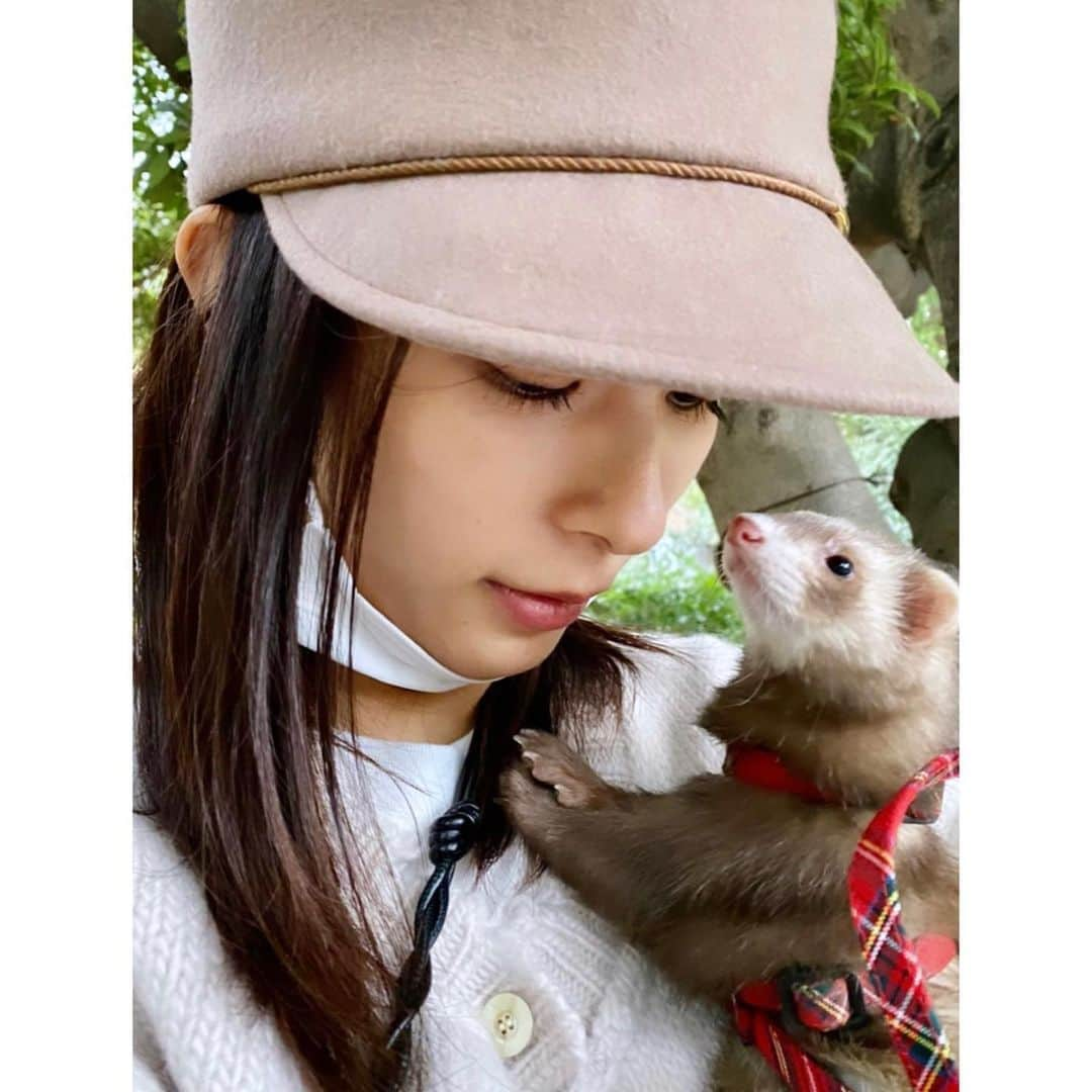 芳根京子さんのインスタグラム写真 - (芳根京子Instagram)「たぬたぬとお散歩🦫 外が好きなようです。 前より抱っこも好きみたい。嬉。  #たぬ日記」11月26日 14時56分 - yoshinekyoko