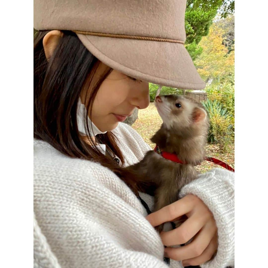 芳根京子さんのインスタグラム写真 - (芳根京子Instagram)「たぬたぬとお散歩🦫 外が好きなようです。 前より抱っこも好きみたい。嬉。  #たぬ日記」11月26日 14時56分 - yoshinekyoko