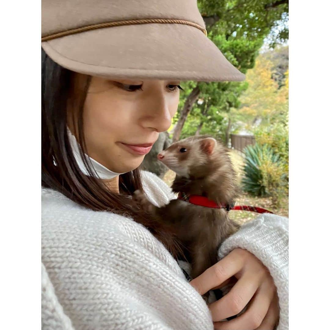 芳根京子さんのインスタグラム写真 - (芳根京子Instagram)「たぬたぬとお散歩🦫 外が好きなようです。 前より抱っこも好きみたい。嬉。  #たぬ日記」11月26日 14時56分 - yoshinekyoko