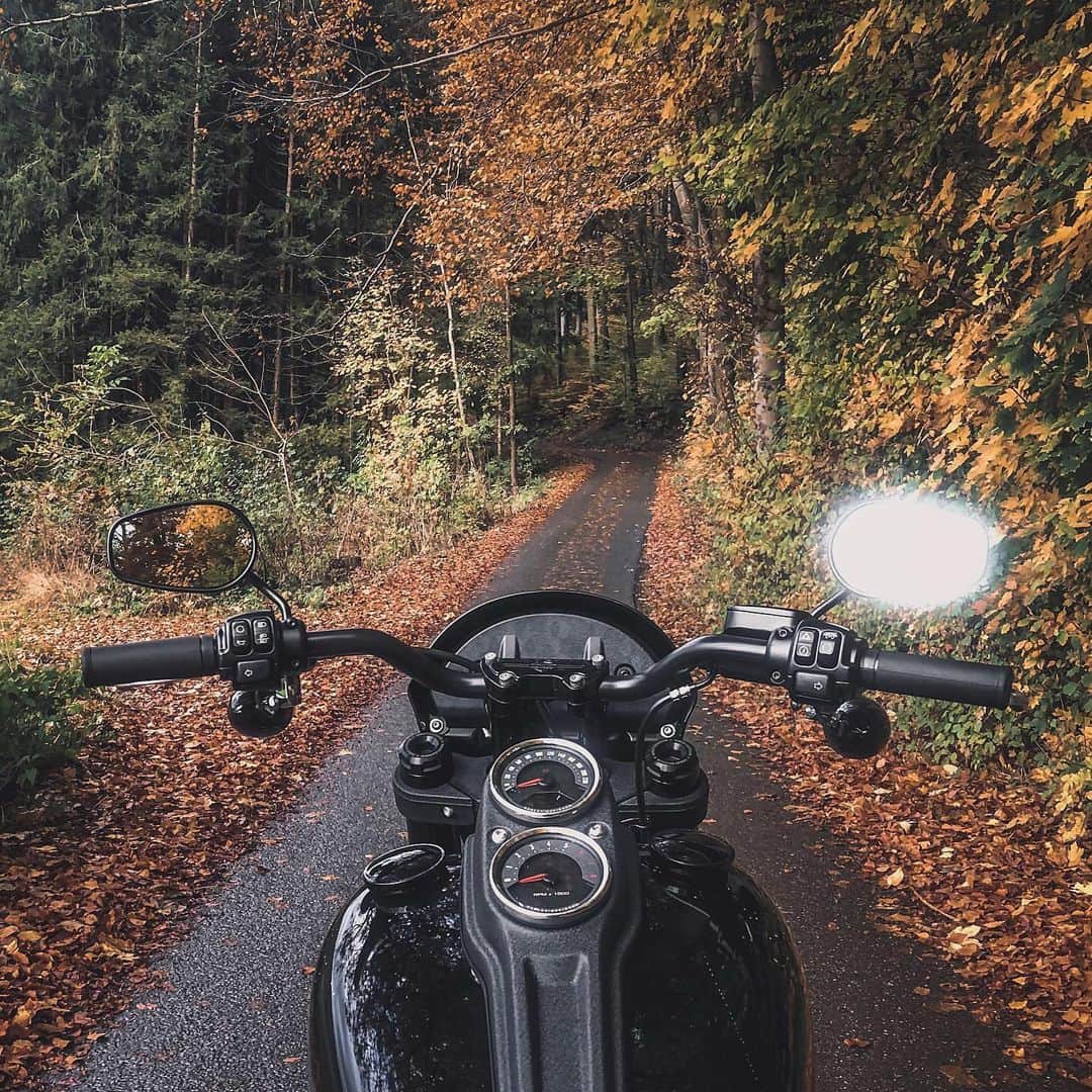 Harley-Davidson Japanさんのインスタグラム写真 - (Harley-Davidson JapanInstagram)「木枯しを振り切って駆けた日。#ハーレー #harley #ハーレーダビッドソン #harleydavidson #バイク #bike #オートバイ #motorcycle #ツーリング #touring #道 #road #秋 #fall #autumn #2020 #自由 #freedom」11月27日 0時57分 - harleydavidsonjapan