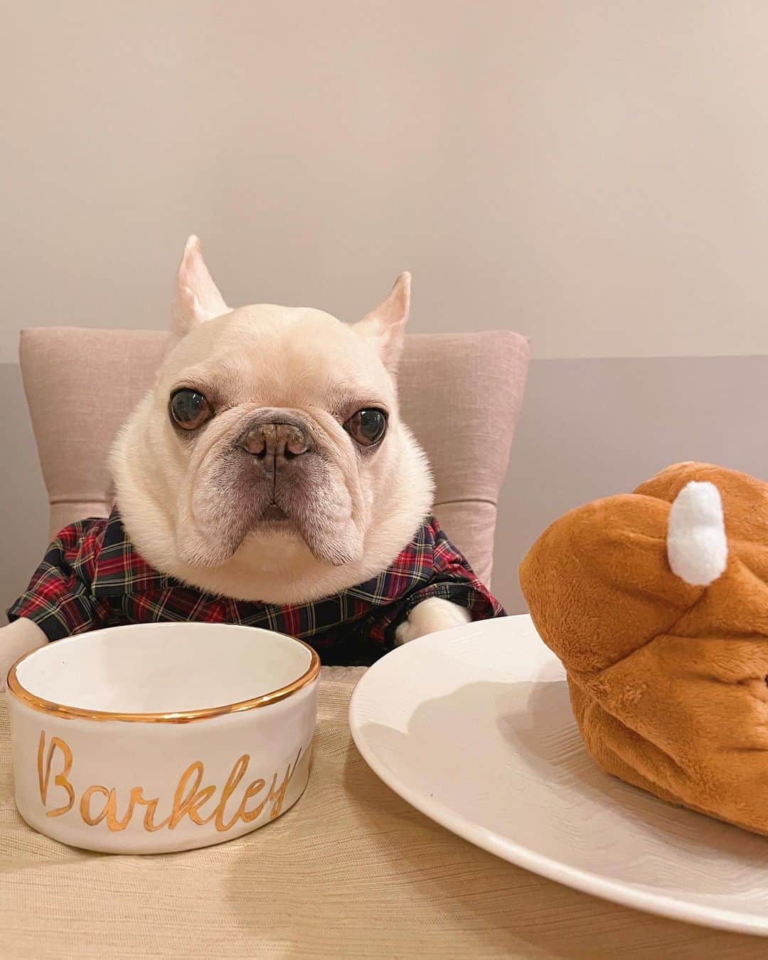 Sir Charles Barkleyのインスタグラム：「Busting out the fine china today! #HappyThanksgiving! Hope you’re all able to safely enjoy this holiday with loved ones ❤️」