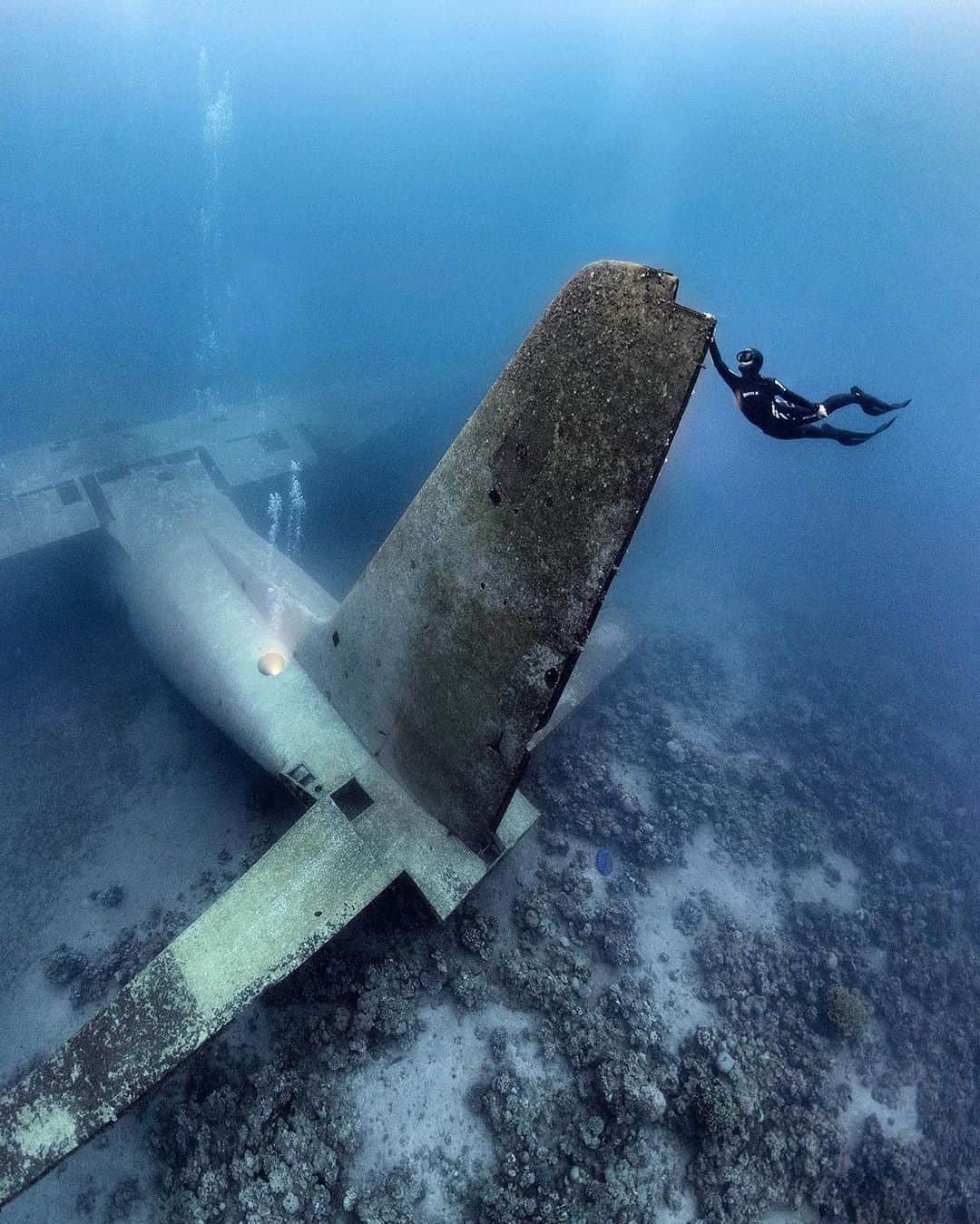 Discover Earthさんのインスタグラム写真 - (Discover EarthInstagram)「The Red Sea and the fantastic wrecks of Aqaba, Jordan. 🤿 This shot was taken with freediver @bilge_cingigiray  in April 2019. About a year after that visit the Hercules was hit very bad in a storm. The wreck locks a bit different these days but is still supposed to be a great wreck dive!   🇯🇴 #discoverjordan with @alex_dawson_photography  . . . . .  #diving  #underwater  #scuba  #scubadiving  #dive  #underwaterphotography  #wreck  #shipwreck  #jordanie  #jordan  #travel  #visitjordan  #jordania  #travelphotography  #deadsea  #petrajordan  #photography  #roadtrip  #instatravel  #trip  #travelgram  #holiday  #discoverjordan」11月27日 1時00分 - discoverearth