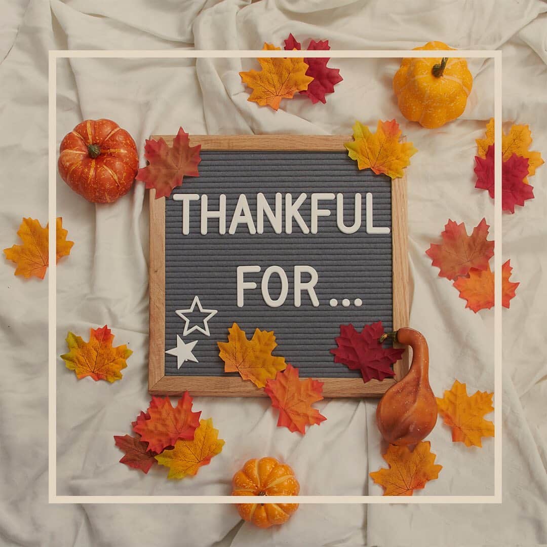 エラモスさんのインスタグラム写真 - (エラモスInstagram)「Happy #thanksgiving from the Ella Moss team! Comment below and tell us what you’re thankful for. . . . #ellamoss #ellamossjeans」11月27日 1時43分 - ellamoss
