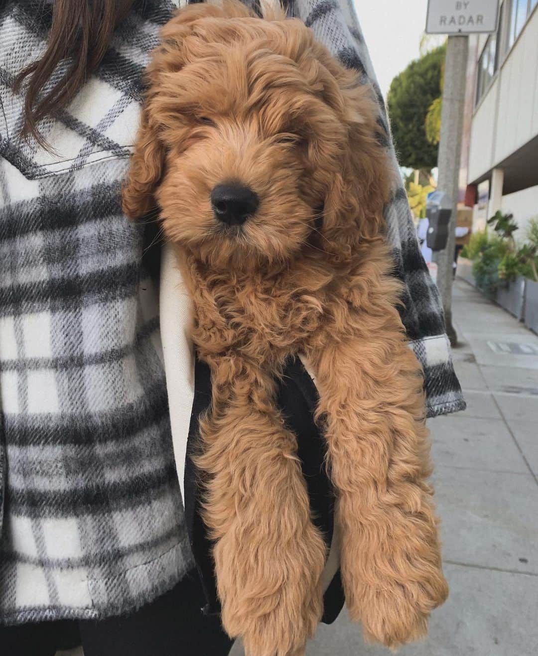 Katelyn Byrdのインスタグラム：「How big do we think he’s going to get ?!」