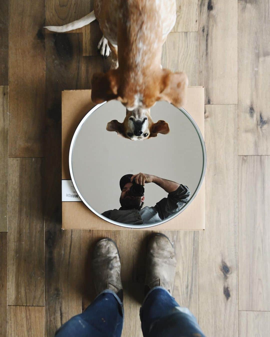 マディさんのインスタグラム写真 - (マディInstagram)「Happy thanksgiving y’all! 👋🏼 I think these round bathroom mirrors are gonna be neat」11月27日 2時08分 - thiswildidea