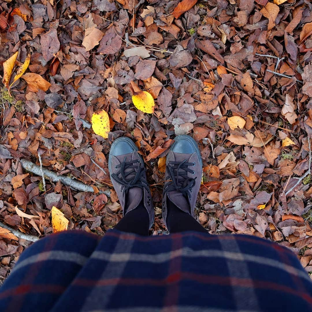 sweet_strawberryさんのインスタグラム写真 - (sweet_strawberryInstagram)「🍂🍂👟👟🍂🍂🍂 【埋もれる死体】🍂🍂🍂🍂🍂 🍂その公園の森は、落ち葉でいっぱいだった。一歩一歩進むたびに、足元でカサッ，カサッっと音がした🍂🍂もう、何分歩いているだろう。 どこ？ どこなんだ？ 見つからない・・・・・。 道をおおい隠すような落ち葉と立ち込める霧。道に迷ったのだろうか？ どこだ？どこだにあるんだ？トイレ🚹🚺！ …もう我慢できない。 『う～、漏れる。したい！』 『う もれる したい。』 【埋もれる死体！！】 💁埋もれる死体って小噺でした。 #枯れ葉#落ち葉#パリパリ#ザクザク#足音#落ち葉の絨毯#スニーカー女子#今日の足元#秋だね」11月26日 17時30分 - sweet_strawberry