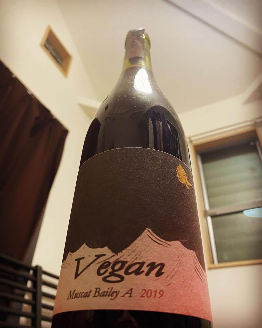 ひぐち君さんのインスタグラム写真 - (ひぐち君Instagram)「先日のオンラインサロン・リモートワイン会で飲ませていただいたドメーヌヒデ「Vegan2019」🍷 葡萄栽培家、そして醸造家のヒデさんも共にヴィーガン🥬 農薬・肥料・添加物不使用で、足踏み破砕。醸造過程においても、動物由来の成分は一切不使用。 ナチュールのガメイを想わせるような印象で、それはそれは優しく繊細で、ふきのおひたしが食べたくなりました😋 精進料理ともペアリングしてみたくなるワイン🍷 #vegan 2019 #muscatbaileya  #ドメーヌヒデ #山梨県 #南アルプス市  #日本ワイン　🇯🇵 #japanesewine #vinjaponais  #wine #vin #vino #winetime #winelover  #instawine #wineexpert  #tokyo  #オンラインサロン #ひぐち君の日本ワイン会  https://lounge.dmm.com/detail/1486/ #リモートワイン会  #毎週開催 #veganwine  #ヴィーガンワイン  #ヴィーガン」11月26日 17時32分 - higehiguchi