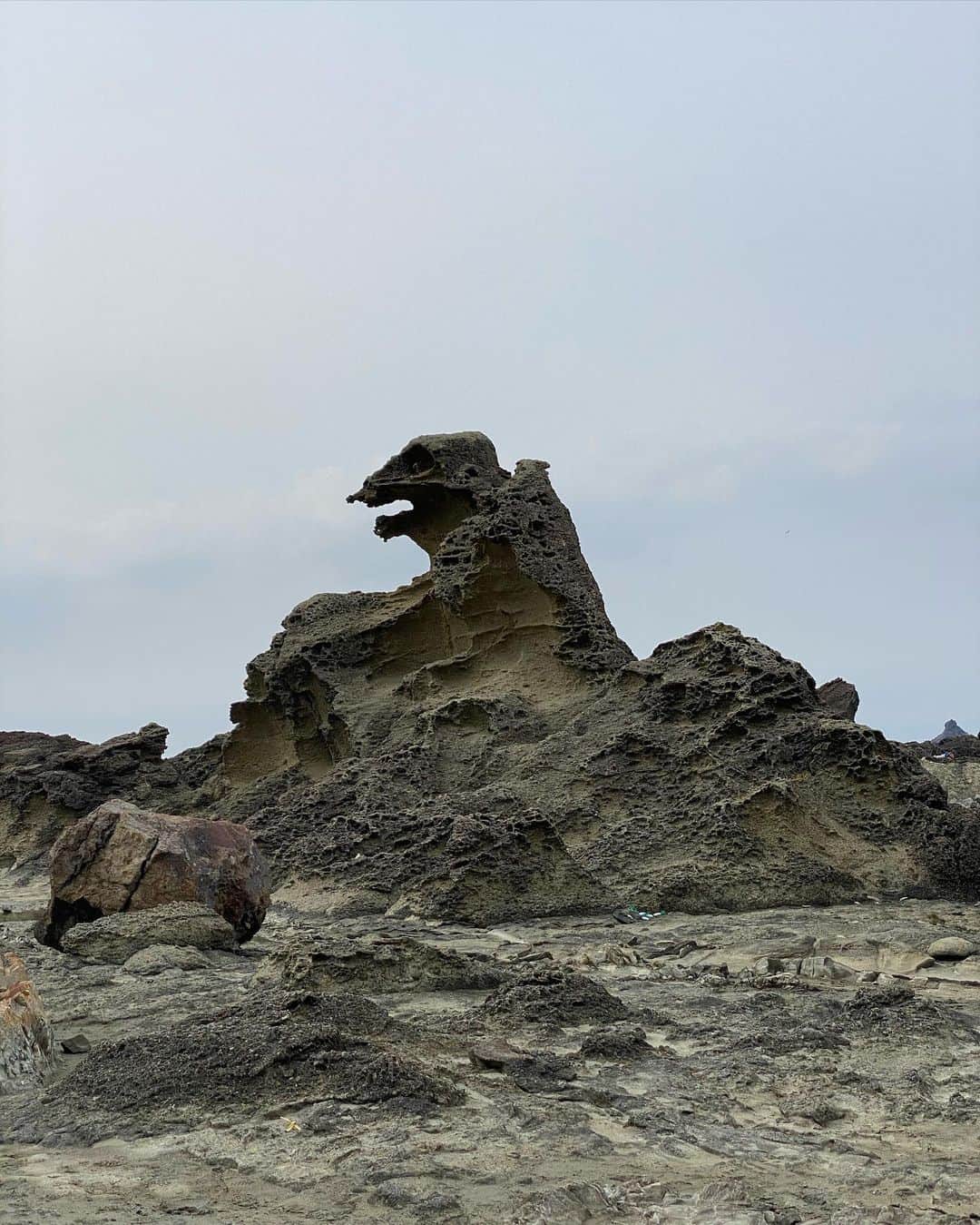 樋口千紗さんのインスタグラム写真 - (樋口千紗Instagram)「. 秋田3日目はゴジラ岩を見に！ けど、思ってたのと違った。 . しかも、インスタのストーリーに載っけたら「ゴジラと言うよりプテラノドンでは？」との、至極真っ当なご意見もいただきましたw そうとも言う。 . 角度によってはゴジラに見える時と(最後の写真)、プテラノドンに見える時があるっぽい。 . このあたりは火山の噴火でできた地形だそうで、日本の奇岩百景にも認定されているのだとか。 . 他にもガメラ岩もあるらしいが、どれか分からんし、そもそも言ったもん勝ちやん、と思ってみたり🤪 . #ゴジラ岩 #プテラノドン #男鹿 #男鹿半島 #秋田観光 #観光スポット #秋田観光スポット #パワースポット #秋田 #秋田デート #自然 #車デート #デートコーデ #ドライブデート #ドライブ #国内旅行 #旅行 #秋田の見所 #ゴジラ #ガメラ岩 #噴火 #火山 #奇岩百景 #角度 #あたり #けたら #もん勝ち #秋田3日目 #ご意見 #との」11月26日 17時56分 - chisa.higuchi