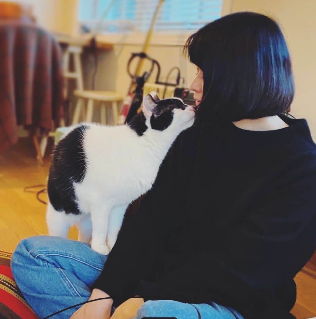 OKAさんのインスタグラム写真 - (OKAInstagram)「友人との会話中割りこんでくるえいた。  #ガブリエイタコロスケ師匠」11月26日 17時58分 - ytrpics