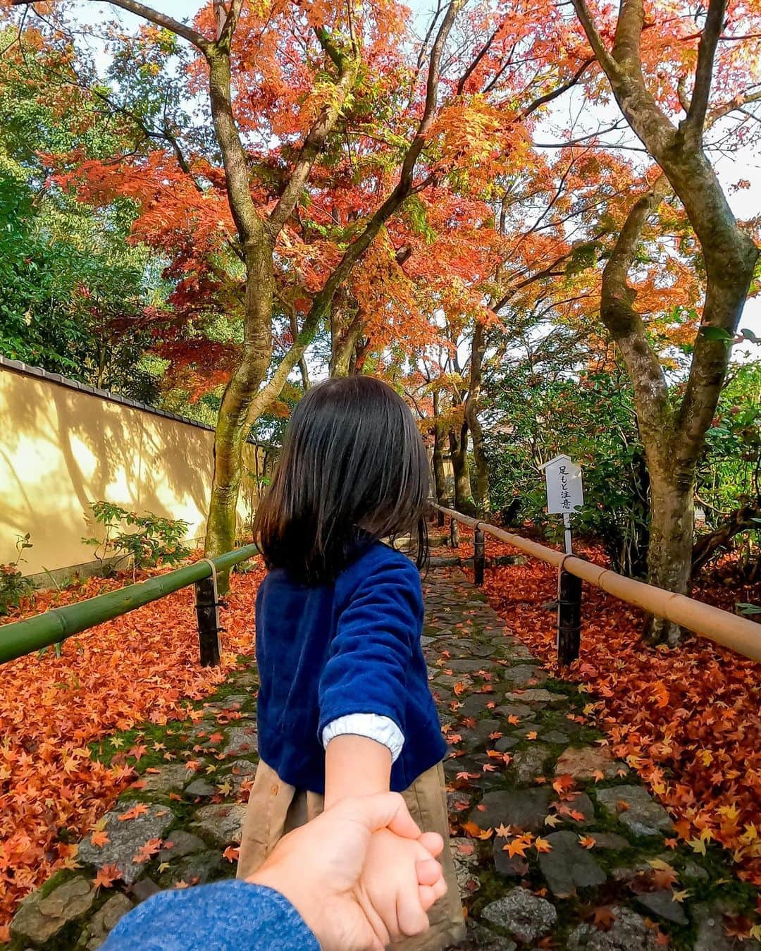 GoProさんのインスタグラム写真 - (GoProInstagram)「#光悦寺 の参道で紅葉に囲まれながら親子で #FollowMeTo 🤝🍂 📷 @uruma _428 + #GoProHERO9 Black  #GoPro #GoProJP #GoProのある家族 #親子 #京都 #寺院 #寺 #Kyoto」11月26日 18時03分 - goprojp