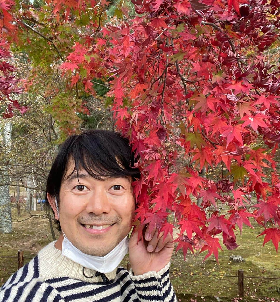 アキラ100%のインスタグラム：「可愛く撮れてるかなぁ〜。 京都・仁和寺の紅葉だよ🍁 癒されたな〜。  どうも自撮りおじさんです。 おじキュンできるかな？  #自撮り #おじさん #おじキュン #京都 #仁和寺 #紅葉」