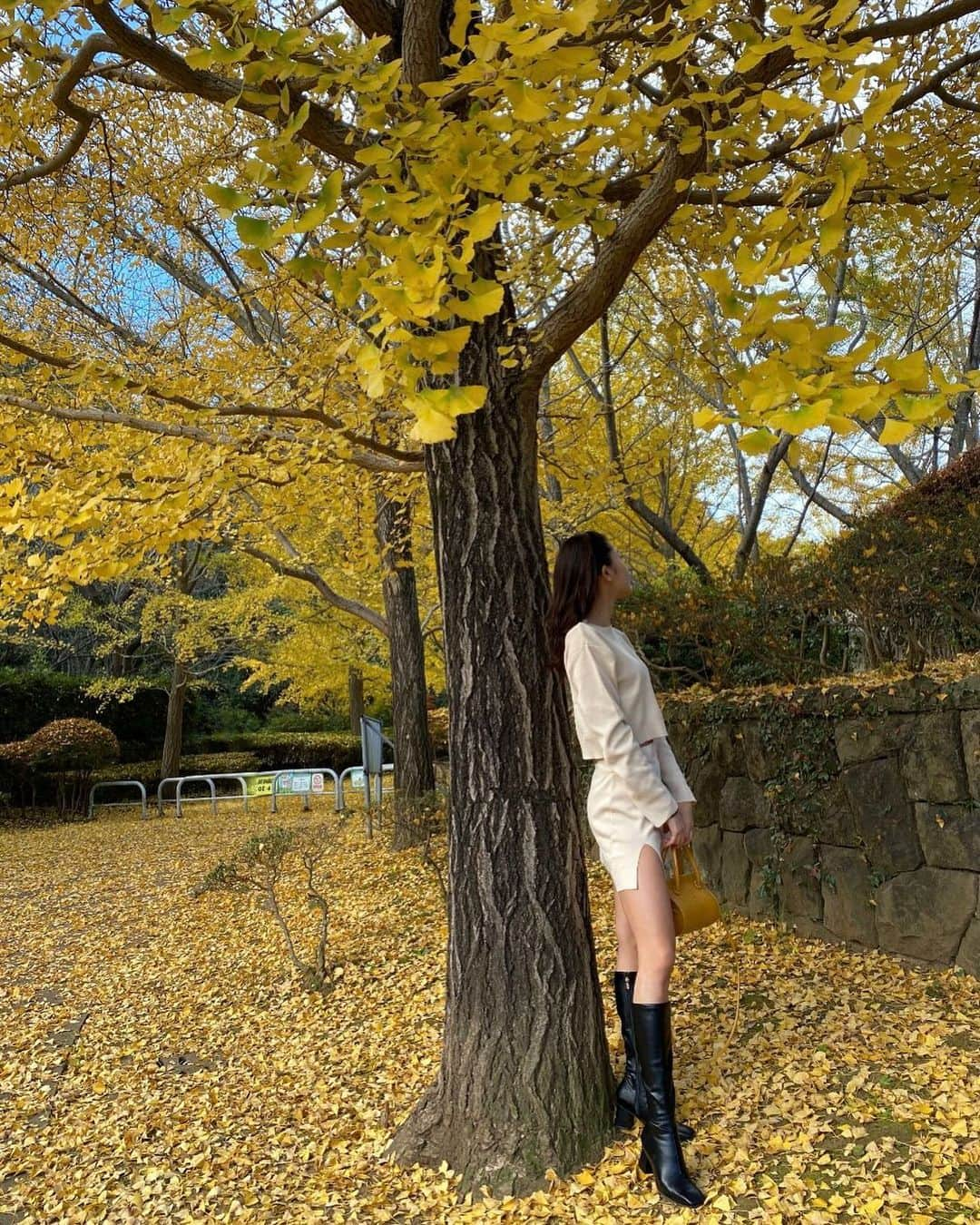 安田華乃さんのインスタグラム写真 - (安田華乃Instagram)「いちょう並木見れてよかった💛🍂  この日の私服は、 @esutoreja  のセットアップ！ スリットで美脚効果🥺  #esutoreja #いちょう並木  #きょコ #私服」11月26日 18時18分 - nanochuuun_