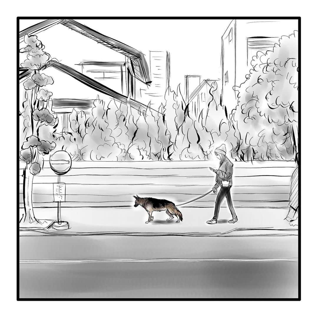 のインスタグラム：「『ゴボウ』②  #漫画 #マンガ #まんが #インスタ漫画 #創作 #コミック #イラスト #犬 #シェパード #ゴボウ #manga #comic #illustration #art #drawing #dog #germanshepherd #alsatian #gobo」