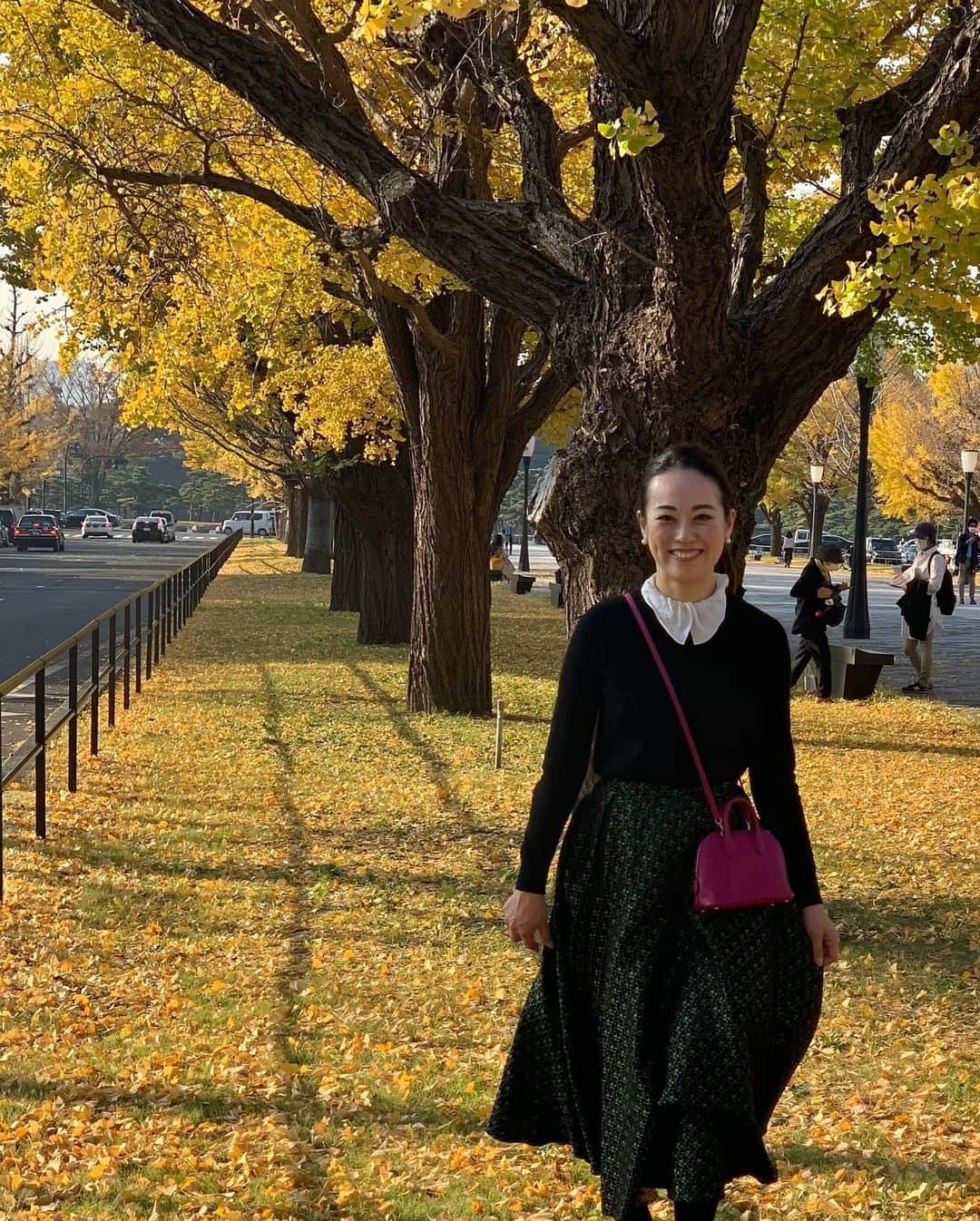 沢瀉美緒さんのインスタグラム写真 - (沢瀉美緒Instagram)「※ Autumn leaves hunting 🍂 . 外苑前の銀杏並木も好きだけど 皇居の近くの銀杏並木も好き🍂 . 人が少なかったので写真を撮る時だけ マスクを外してます😷 . 一帯が黄色の世界で水面に映る木々まで美しかった💛 . . #autumnleaves #autumn #秋 #紅葉 #imperialpalace #皇居 #銀杏並木 #ginkgo #tokyo #東京 #皇居外苑 #二重橋」11月26日 18時28分 - mio_omodaka