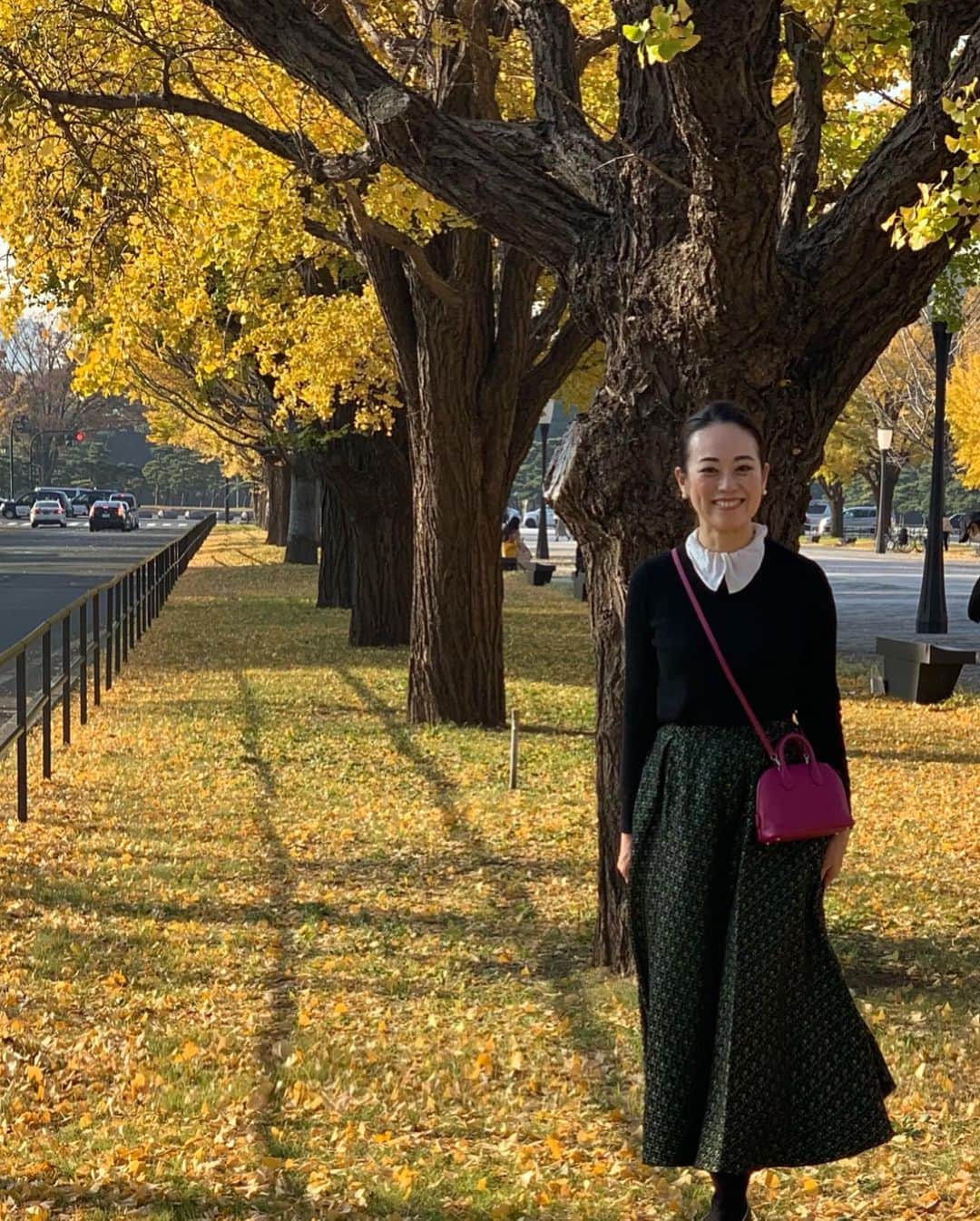 沢瀉美緒さんのインスタグラム写真 - (沢瀉美緒Instagram)「※ Autumn leaves hunting 🍂 . 外苑前の銀杏並木も好きだけど 皇居の近くの銀杏並木も好き🍂 . 人が少なかったので写真を撮る時だけ マスクを外してます😷 . 一帯が黄色の世界で水面に映る木々まで美しかった💛 . . #autumnleaves #autumn #秋 #紅葉 #imperialpalace #皇居 #銀杏並木 #ginkgo #tokyo #東京 #皇居外苑 #二重橋」11月26日 18時28分 - mio_omodaka