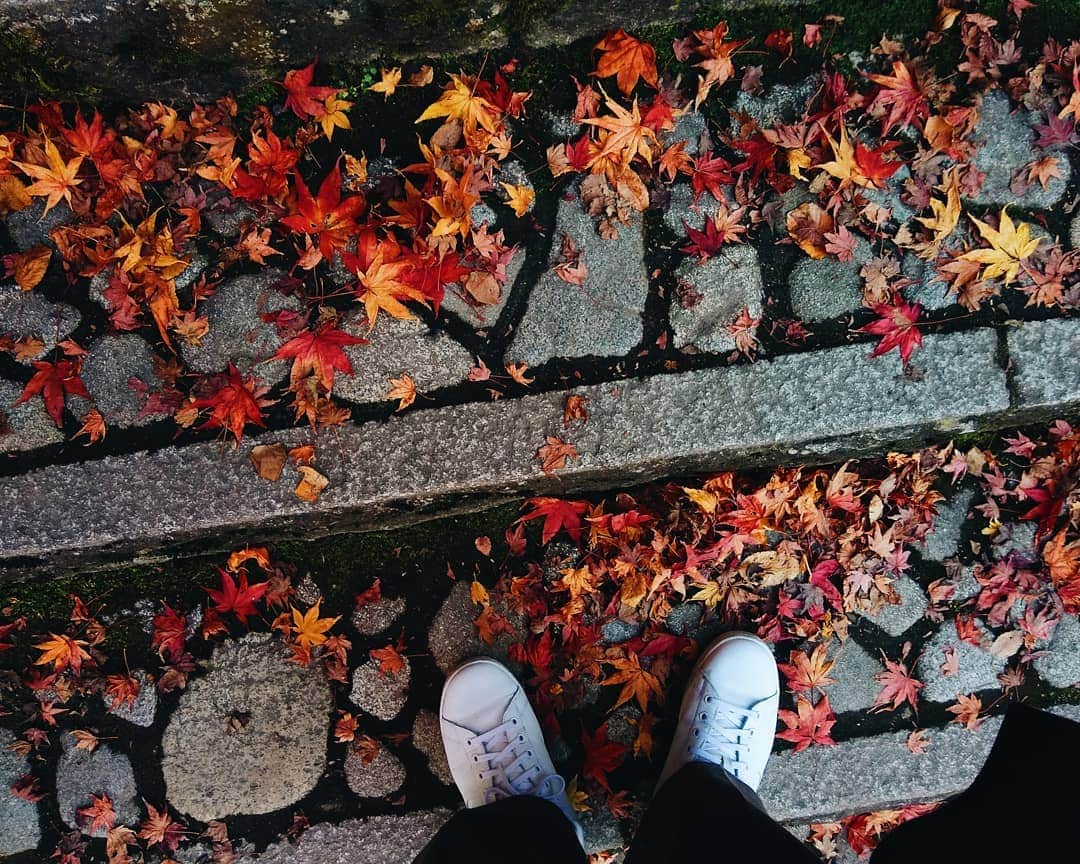 kei_pqのインスタグラム：「11月中頃の京都日帰り旅の記録✍ 今回のメイン🍁瑠璃光院、秋の特別拝観へ  #vscocam #vscotravel #vscokyoto #京都日帰り #瑠璃光院 #瑠璃光院秋の特別拝観 #kyototrip」
