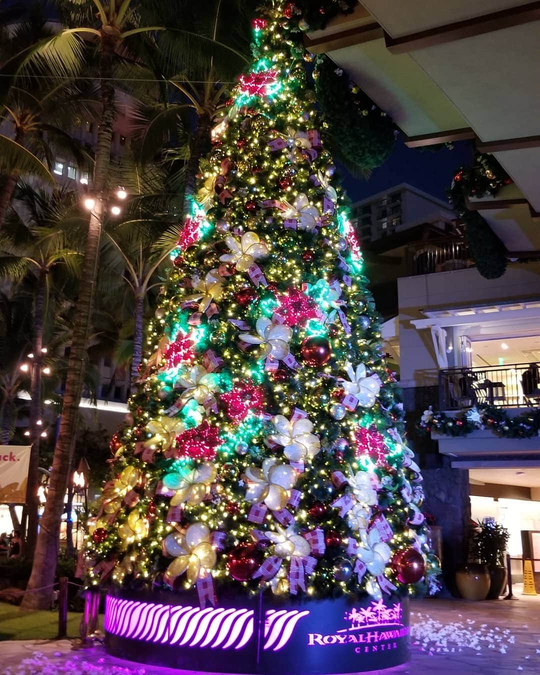 瀬川慶のインスタグラム：「Annual Tree lighting Holiday Kick Off was success! @royalhwnctr クリスマスツリー点灯式、バーチャルでも大成功！  #hawaii #aloha #Waikiki  #royalhawaiiancenter # kalakauaavenue #annualevent #socialdistancing #holidaykickoff #thedaybeforethanksgiving  #maluproduction　#ハワイ　#アロハ　#ワイキキ　#ロイヤルハワイアンセンター　#バーチャル配信　#クリスマスツリー点灯式　#ホリデーシーズン　#瀬川慶　#無観客ライブ　#今年はバーチャル　#ホリデーキックオフ　#クリスマスだねぇ」