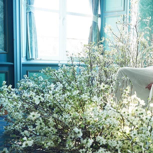JUNOのインスタグラム：「NEWS！﻿ ﻿ Instagram LIVE ドレスショーを開催します﻿ ﻿ BLD WEDDINGS ×﻿ JUNO & THE SWEETCOLLCTION by JUNO﻿ 森のマナーホール ドレスコレクション﻿  ﻿  ﻿ 【開催日時】12/12（SAT）14:00-﻿  ﻿ メゾンドフォレストにグランドオープンした﻿ 新セレモニー会場 「森のマナーホール」﻿  ﻿ “時を愉しむ” ﻿ 温かな木の温もりに包まれた森のマナーホール﻿ ﻿ 挙式からパーティーまで あなたらしい1日を﻿ ゆったりと楽しんでいただけますように﻿ ﻿ 熊本で唯一無二のウェディングステージで叶える﻿ 特別なウエディングスタイル﻿をご提案いたします ﻿  ﻿ JUNOとシスターブランド @thesweetcollection_by_juno ﻿ だからこそご提案できる﻿ エレガントでフェミニンなドレスお届けします  ﻿ 初めての開催となる Instagram LIVE ドレスショー﻿ 是非ご覧下さいませ  ﻿ ﻿ #inesdisanto﻿ #MARCHESA﻿ #antonioriva﻿ #naeemkhan﻿ #inmaculada﻿ #kennethpool﻿ #zacposen﻿ #juno﻿ #junowedding﻿ #wedding﻿ #weddingdress﻿ #viktorandrolf ﻿ #lenamedoyeff ﻿ #ジュノ﻿ #ウエディング﻿ #ウェディング﻿ #ウエディングドレス﻿ #ウェディングドレス﻿ #ドレス﻿ #プレ花嫁﻿ #2020冬婚﻿ #2021春婚﻿ #福岡花嫁﻿ #東京花嫁﻿ #九州花嫁﻿ #関東花嫁」