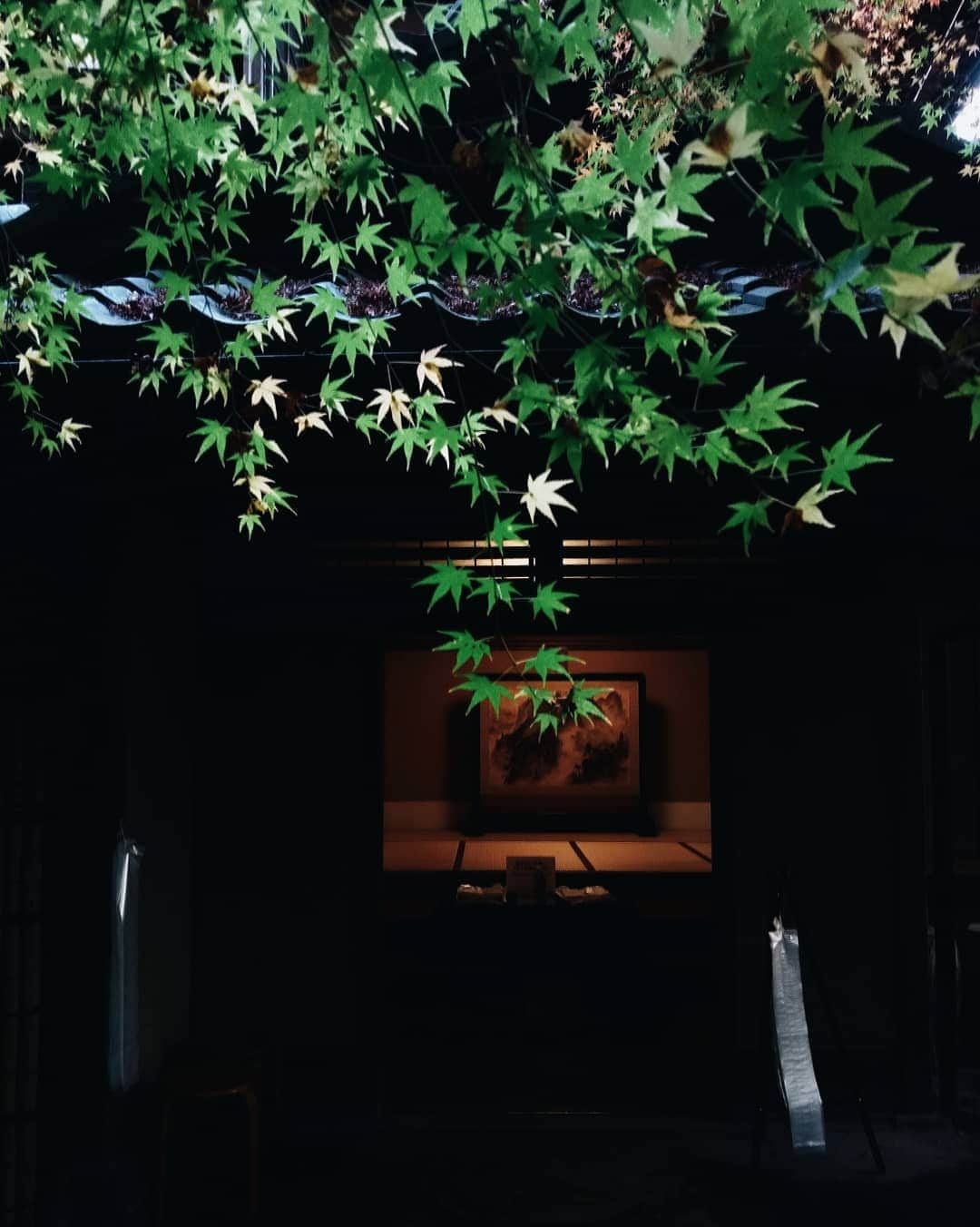 kei_pqのインスタグラム：「11月中頃の京都日帰り旅の記録✍ 瑠璃光院、秋の特別拝観🍁書院の中へ  #vscocam #vscotravel #vscokyoto #京都日帰り #瑠璃光院 #瑠璃光院秋の特別拝観 #kyototrip #京都紅葉」
