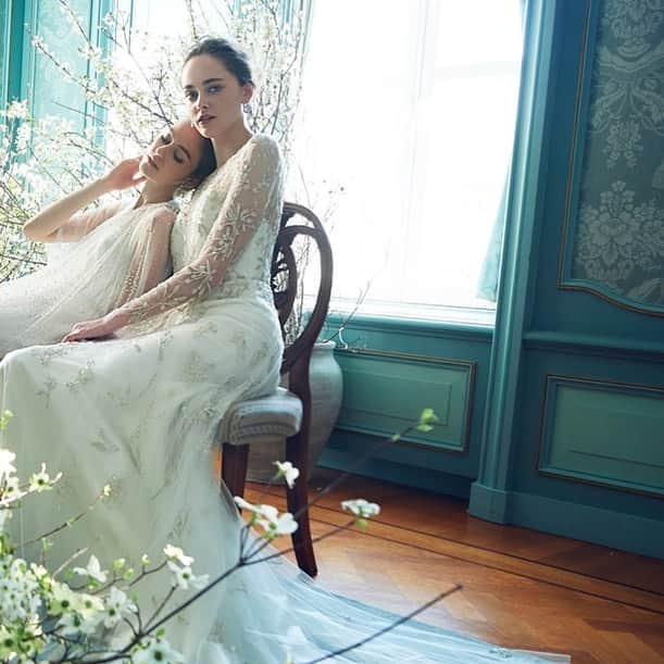 JUNOのインスタグラム：「NEWS！﻿ ﻿ Instagram LIVE ドレスショーを開催します﻿ ﻿ BLD WEDDINGS ×﻿ JUNO & THE SWEETCOLLCTION by JUNO﻿ 森のマナーホール ドレスコレクション﻿  ﻿  ﻿ 【開催日時】12/12（SAT）14:00-﻿  ﻿ メゾンドフォレストにグランドオープンした﻿ 新セレモニー会場 「森のマナーホール」﻿  ﻿ “時を愉しむ” ﻿ 温かな木の温もりに包まれた森のマナーホール﻿ ﻿ 挙式からパーティーまで あなたらしい1日を﻿ ゆったりと楽しんでいただけますように﻿ ﻿ 熊本で唯一無二のウェディングステージで叶える﻿ 特別なウエディングスタイル﻿をご提案いたします ﻿  ﻿ JUNOとシスターブランド @thesweetcollection_by_juno ﻿ だからこそご提案できる﻿ エレガントでフェミニンなドレスお届けします  ﻿ 初めての開催となる Instagram LIVE ドレスショー﻿ 是非ご覧下さいませ  ﻿ ﻿ #inesdisanto﻿ #MARCHESA﻿ #antonioriva﻿ #naeemkhan﻿ #inmaculada﻿ #kennethpool﻿ #zacposen﻿ #juno﻿ #junowedding﻿ #wedding﻿ #weddingdress﻿ #viktorandrolf ﻿ #lenamedoyeff ﻿ #ジュノ﻿ #ウエディング﻿ #ウェディング﻿ #ウエディングドレス﻿ #ウェディングドレス﻿ #ドレス﻿ #プレ花嫁﻿ #2020冬婚﻿ #2021春婚﻿ #福岡花嫁﻿ #東京花嫁﻿ #九州花嫁﻿ #関東花嫁」