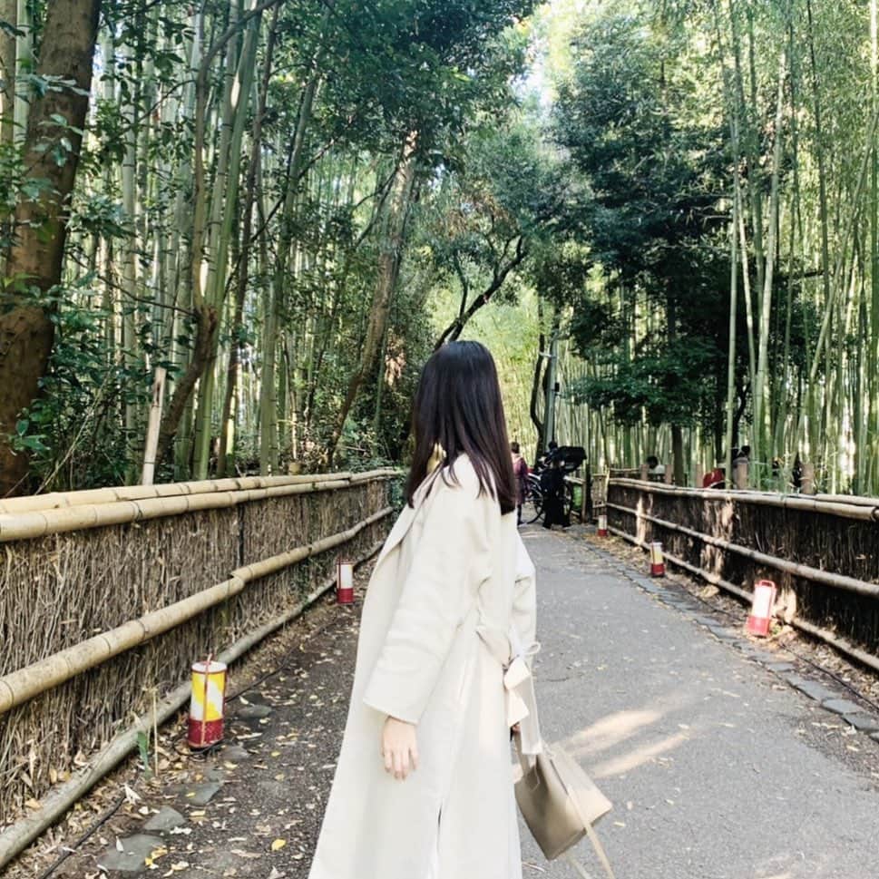 長谷川瑞佳のインスタグラム：「ずっと行きたかった場所🎋  #京都#嵐山#竹林#竹林の道  #ootd」
