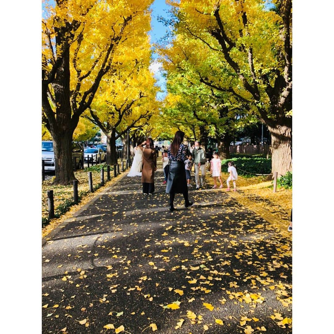 香音有希さんのインスタグラム写真 - (香音有希Instagram)「少し前の散歩🍁 . 右へうろうろ、左へうろうろ。  見事に揃った角度の中、 流れに逆らう🌳。 意思を感じる。なんだかカッコいいね.. . . 少し前まではこんなシャツ1枚で出掛けられたけれど いつの間にかコート必須に なってしまいましたね~❄️ . #秋#いやもう冬か」11月26日 19時04分 - kaonyuki_yukako