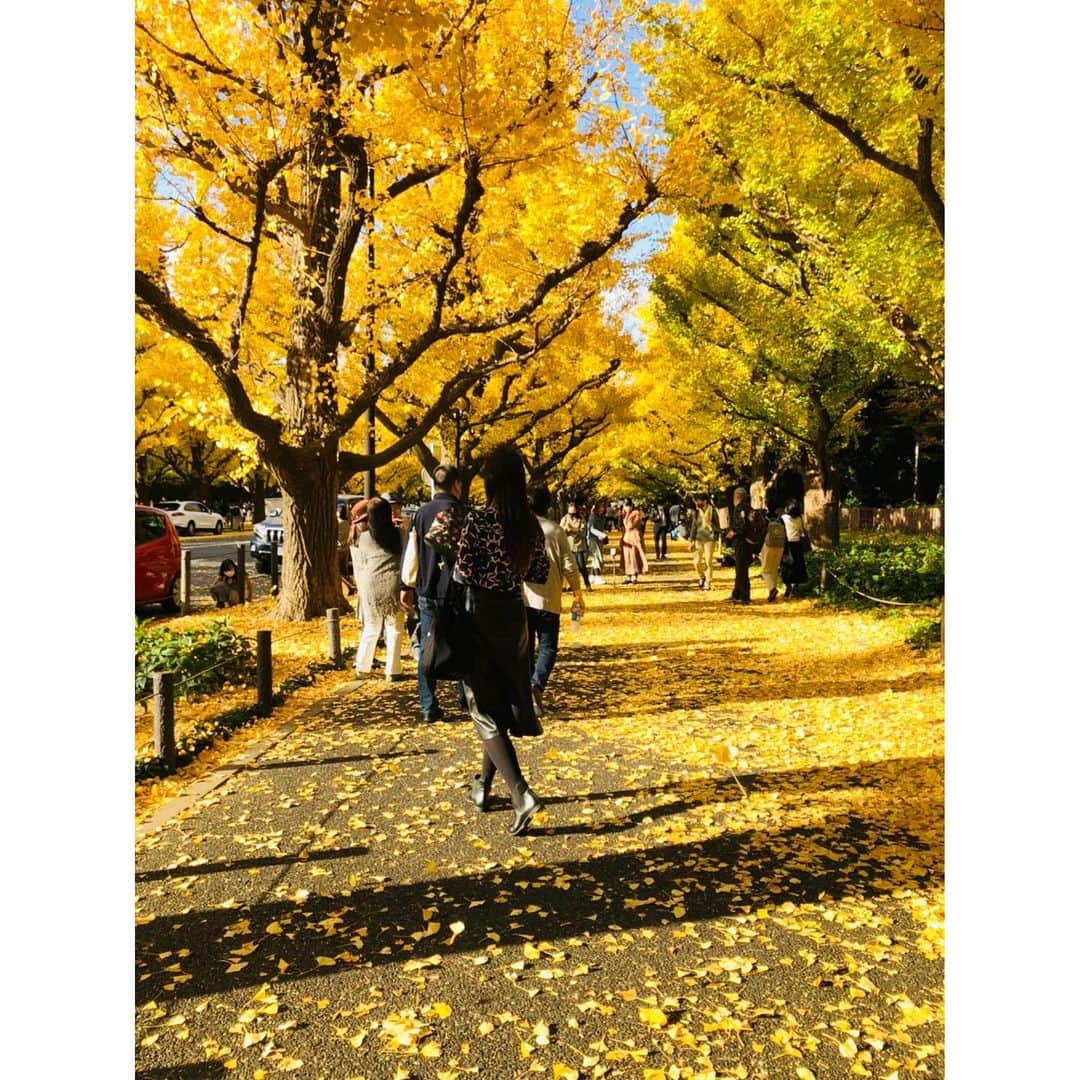香音有希さんのインスタグラム写真 - (香音有希Instagram)「少し前の散歩🍁 . 右へうろうろ、左へうろうろ。  見事に揃った角度の中、 流れに逆らう🌳。 意思を感じる。なんだかカッコいいね.. . . 少し前まではこんなシャツ1枚で出掛けられたけれど いつの間にかコート必須に なってしまいましたね~❄️ . #秋#いやもう冬か」11月26日 19時04分 - kaonyuki_yukako