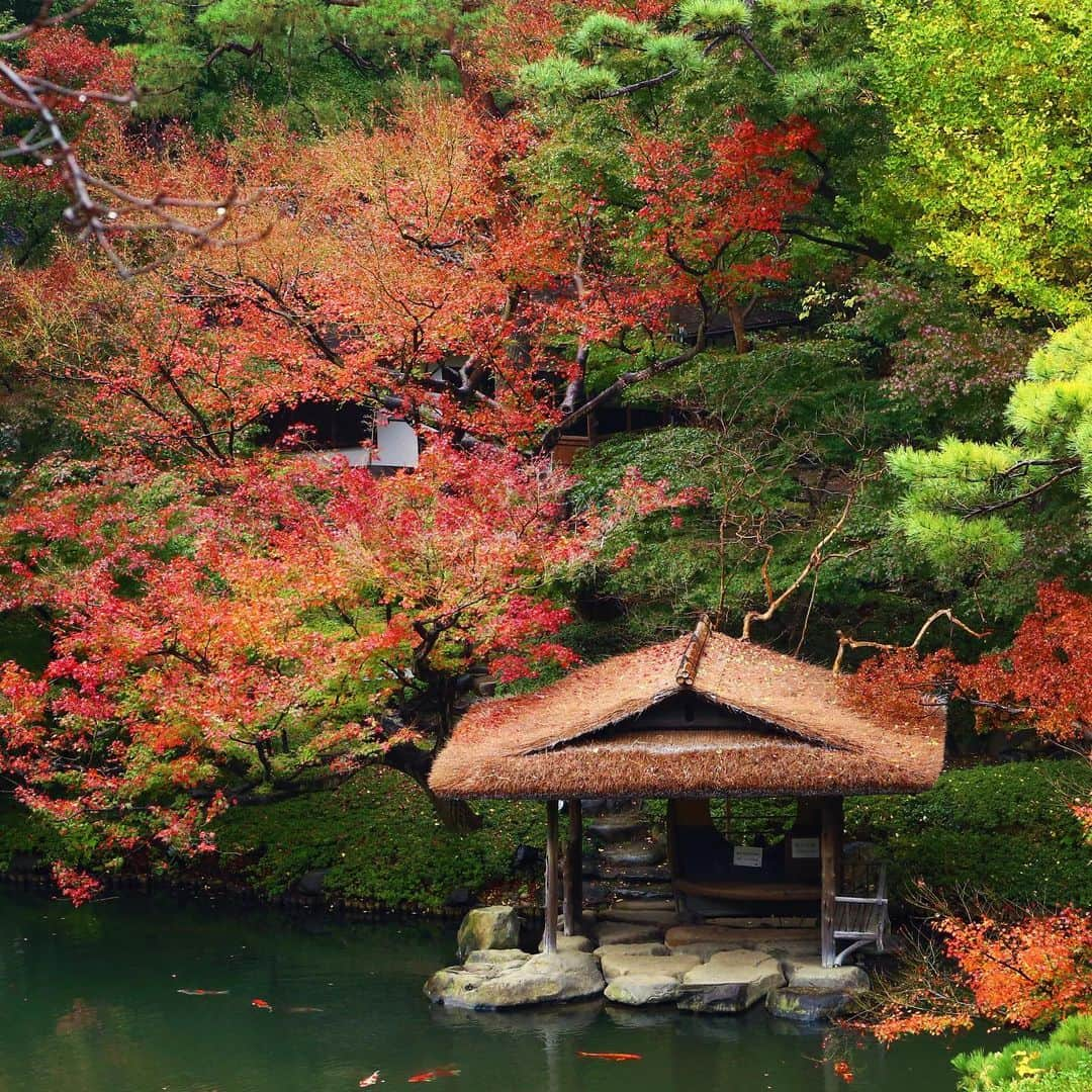 八芳園のインスタグラム