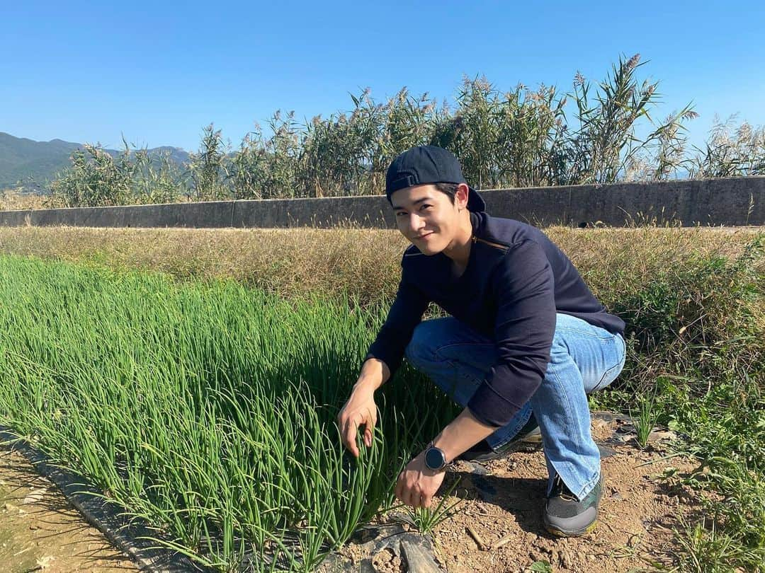 キム・ドンジュンのインスタグラム：「오늘 맛남의 광장.  쪼옥파아 . . . #맛남의광장#쪽파뽑으러가세」